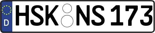 HSK-NS173