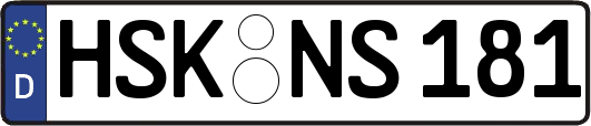 HSK-NS181
