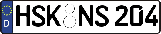 HSK-NS204