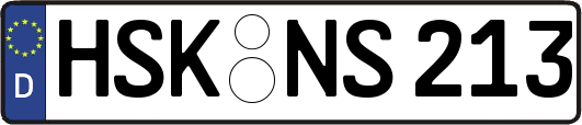 HSK-NS213
