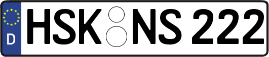 HSK-NS222