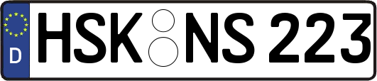 HSK-NS223