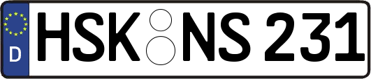 HSK-NS231