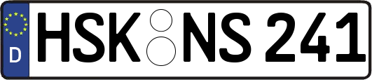 HSK-NS241
