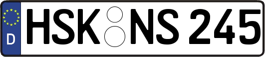 HSK-NS245
