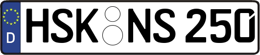 HSK-NS250