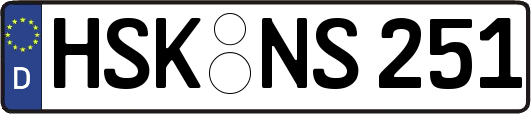HSK-NS251