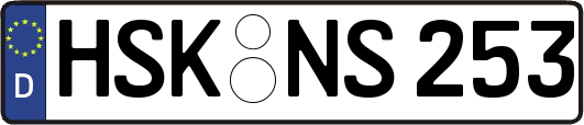 HSK-NS253