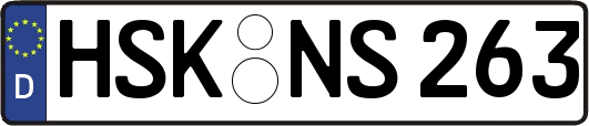 HSK-NS263