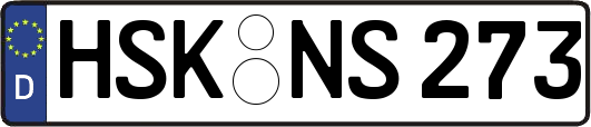 HSK-NS273