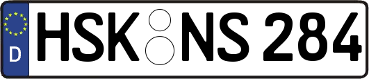 HSK-NS284