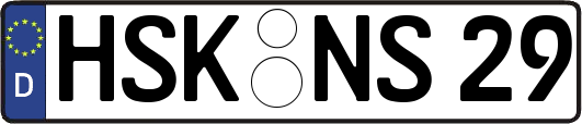 HSK-NS29