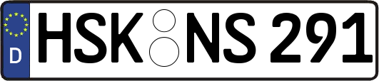 HSK-NS291