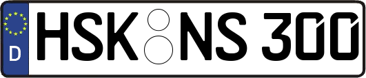 HSK-NS300