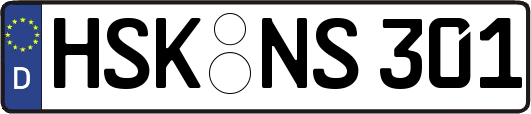 HSK-NS301
