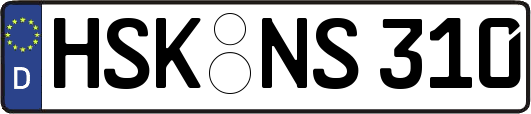 HSK-NS310
