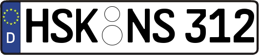 HSK-NS312