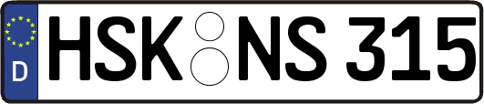 HSK-NS315