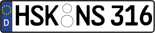 HSK-NS316