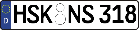 HSK-NS318