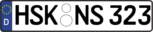 HSK-NS323