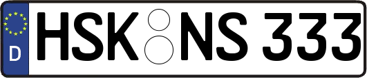 HSK-NS333