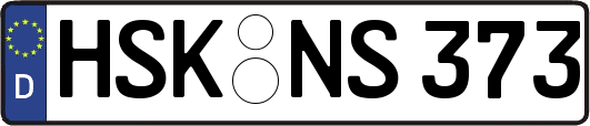 HSK-NS373