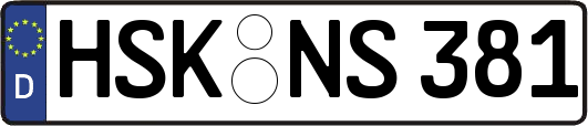 HSK-NS381