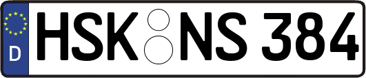 HSK-NS384