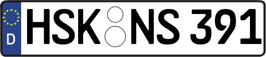 HSK-NS391