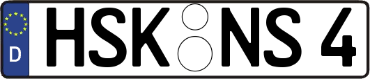 HSK-NS4