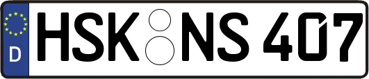 HSK-NS407