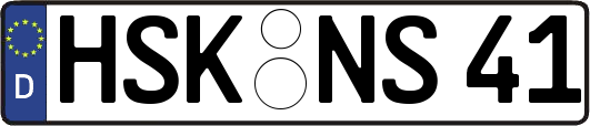 HSK-NS41
