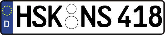 HSK-NS418