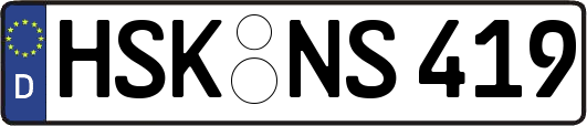 HSK-NS419