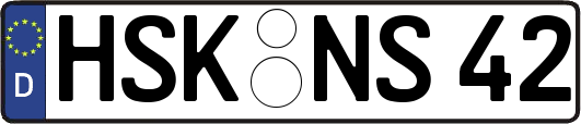 HSK-NS42