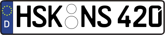 HSK-NS420