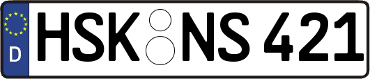HSK-NS421