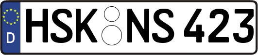 HSK-NS423