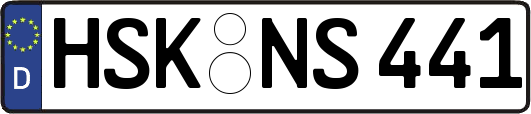 HSK-NS441