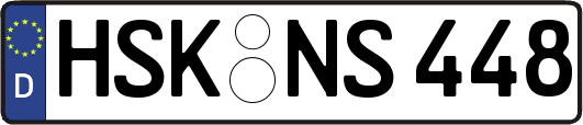 HSK-NS448