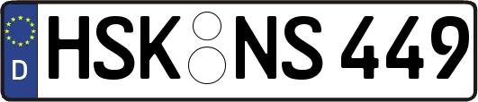 HSK-NS449
