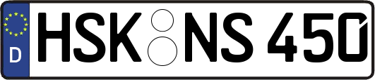 HSK-NS450