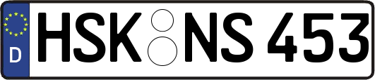 HSK-NS453