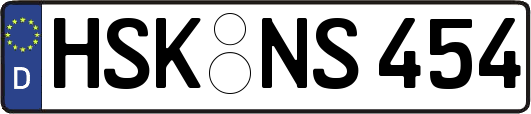 HSK-NS454
