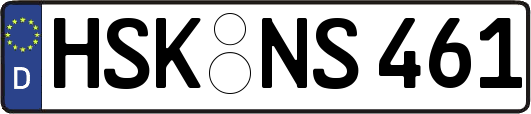 HSK-NS461