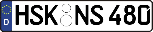 HSK-NS480