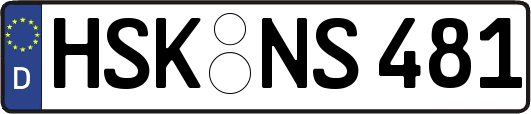 HSK-NS481