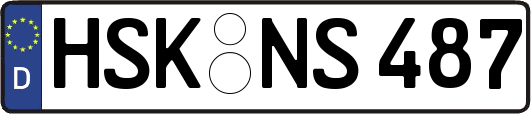 HSK-NS487