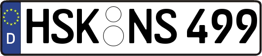 HSK-NS499